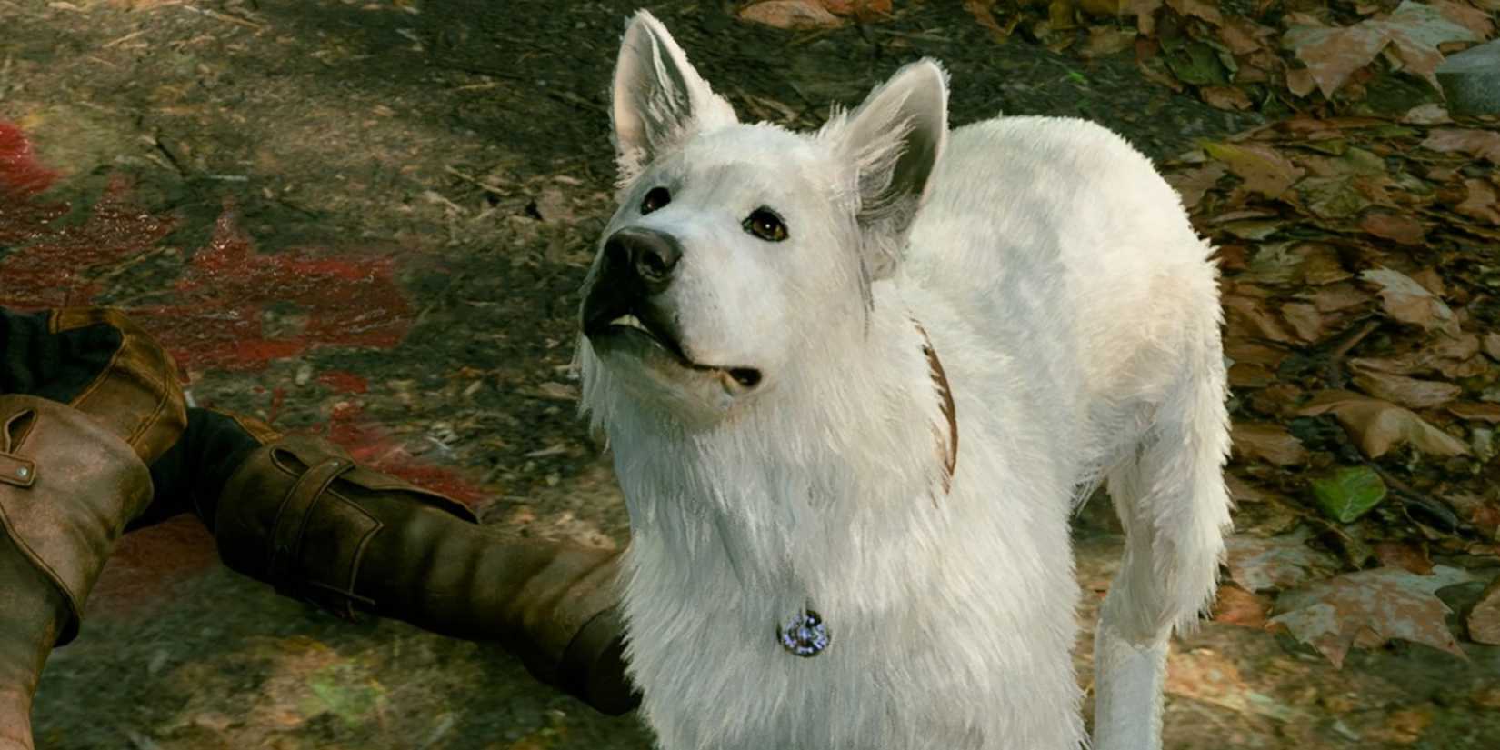 scratch by gomwick's body bg3