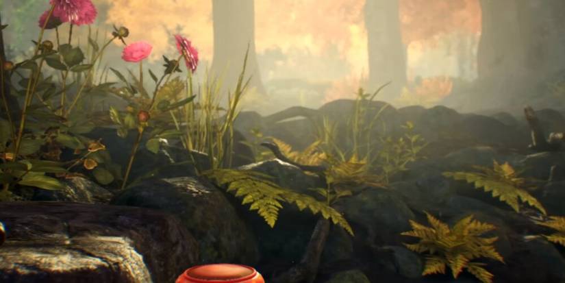 Primordial Thicket Map