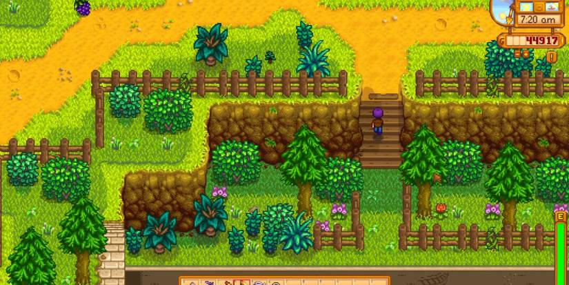 shortcut leading up to the backwoods path