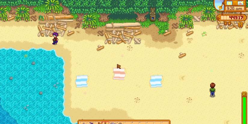 shortcut leading from the beach to leah's cottage