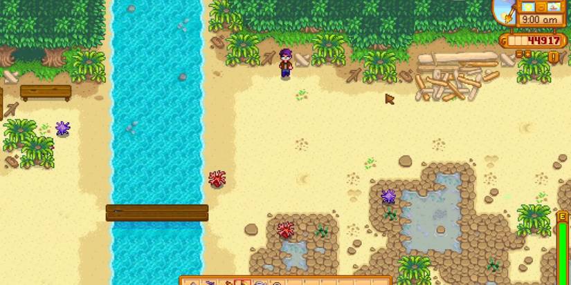 shortcut leading to the tide pools