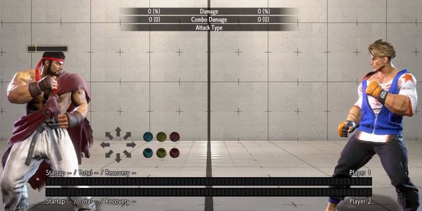 Ryu And Luke In Training Mode