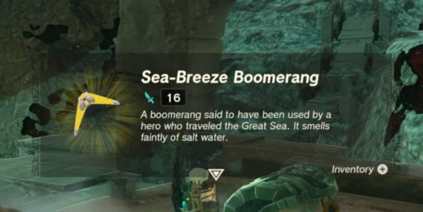 Sea breeze boomerang