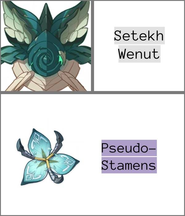 an infographic of the Setekh Wenut with its unique drop, Pseudo-Stamens