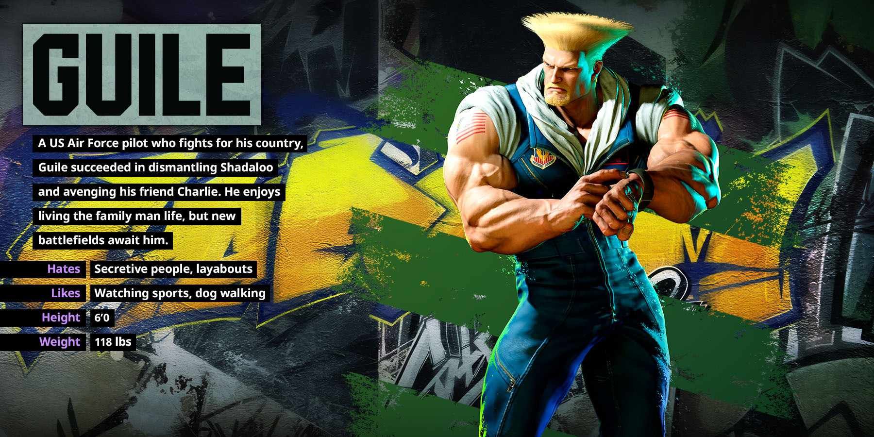 How to play Guile in Street Fighter 5 - Move Guide