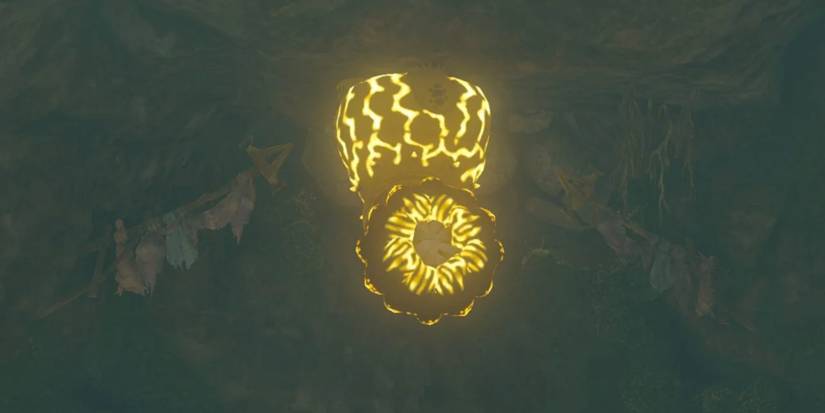 A Shock Like hanging on a cave ceiling