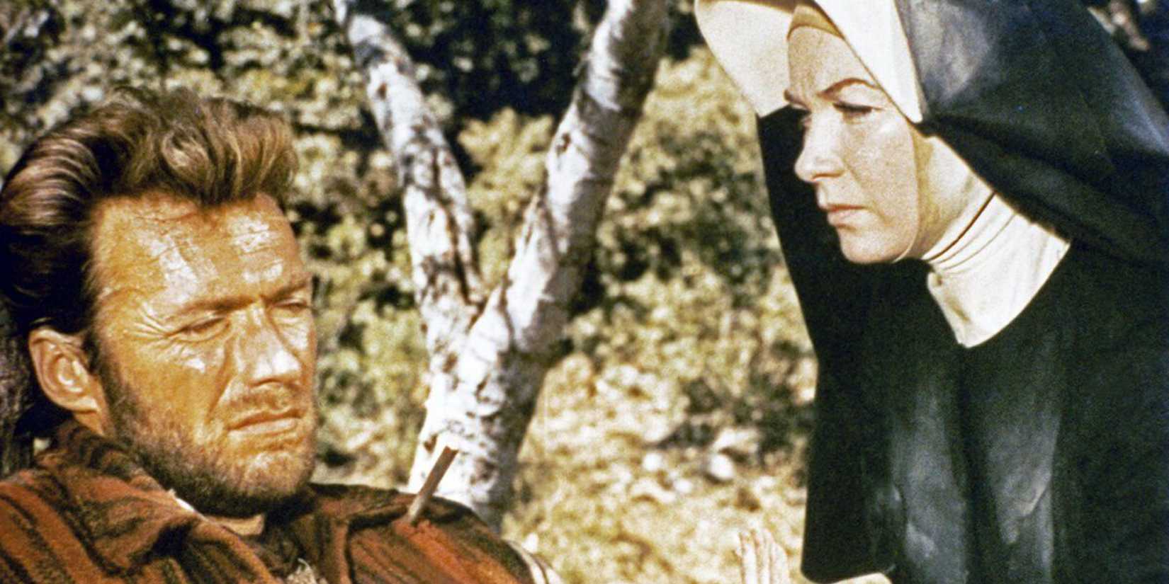 Two mules for sister sara Nun tending a distressed hogan