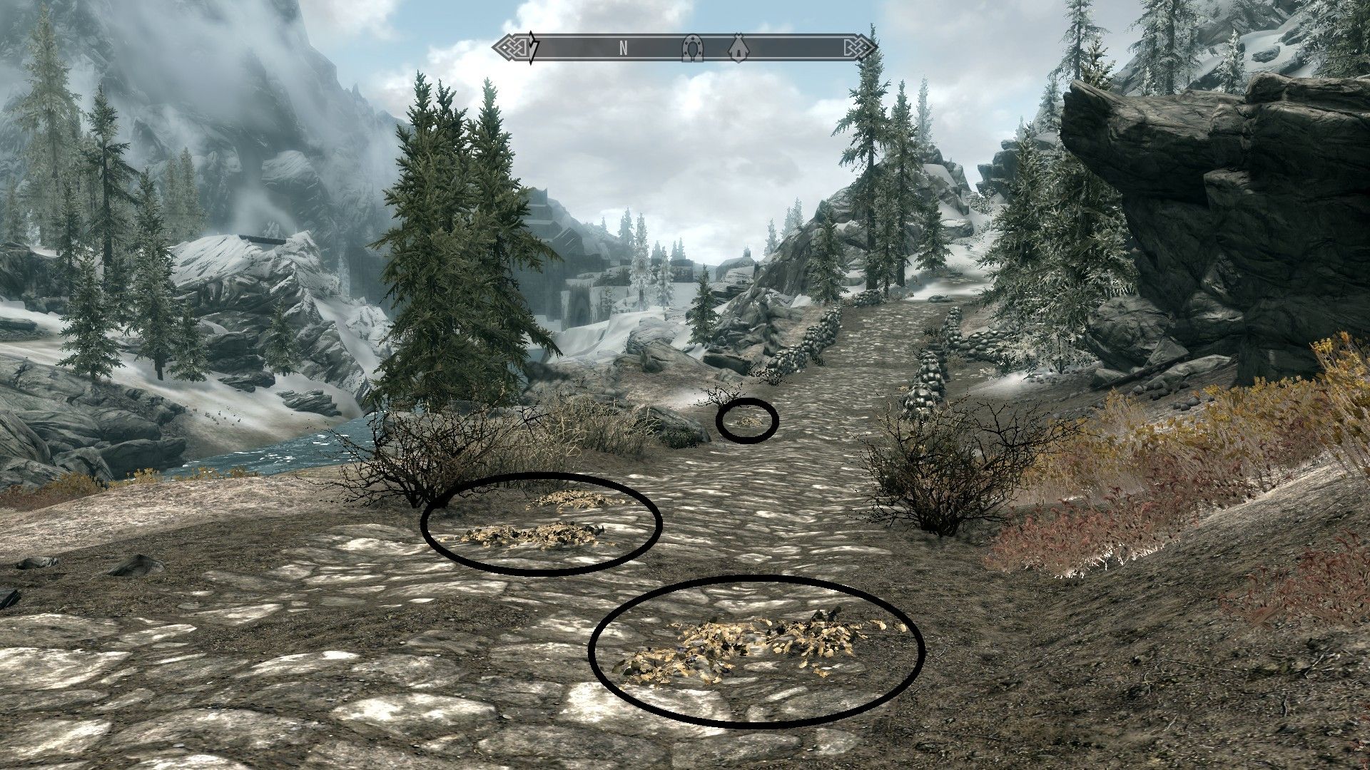 The Ultimate Guide to Locating Jazbay Grapes in Skyrim