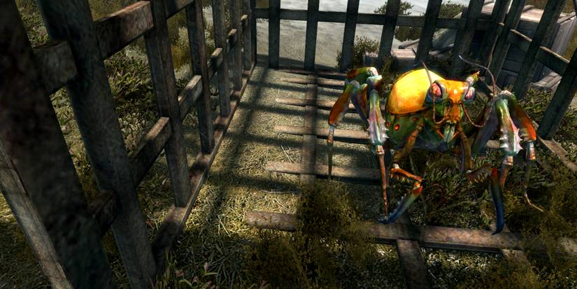 skyrim-manic-elytra-nymph