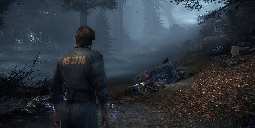 Murphy Travelling Through An Abandoned Forest