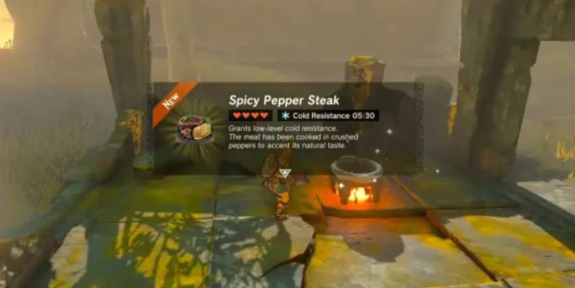 A Spicy Pepper Steak after being cooked