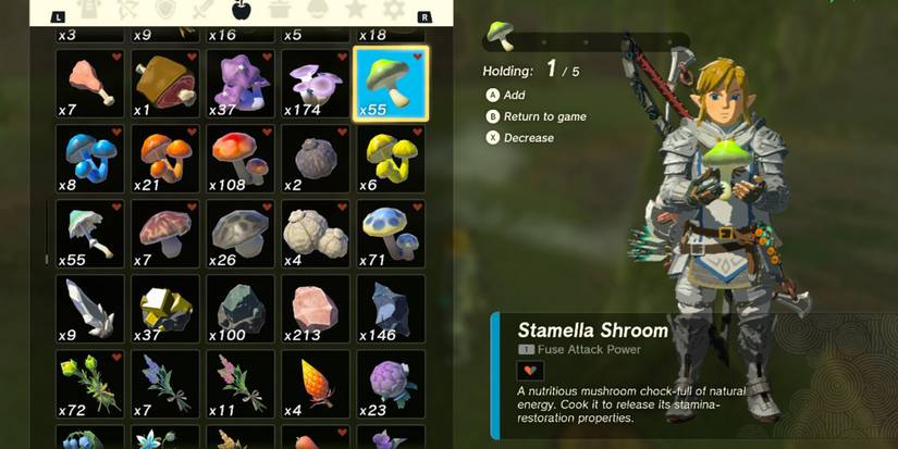 Link holding Stamella Shroom