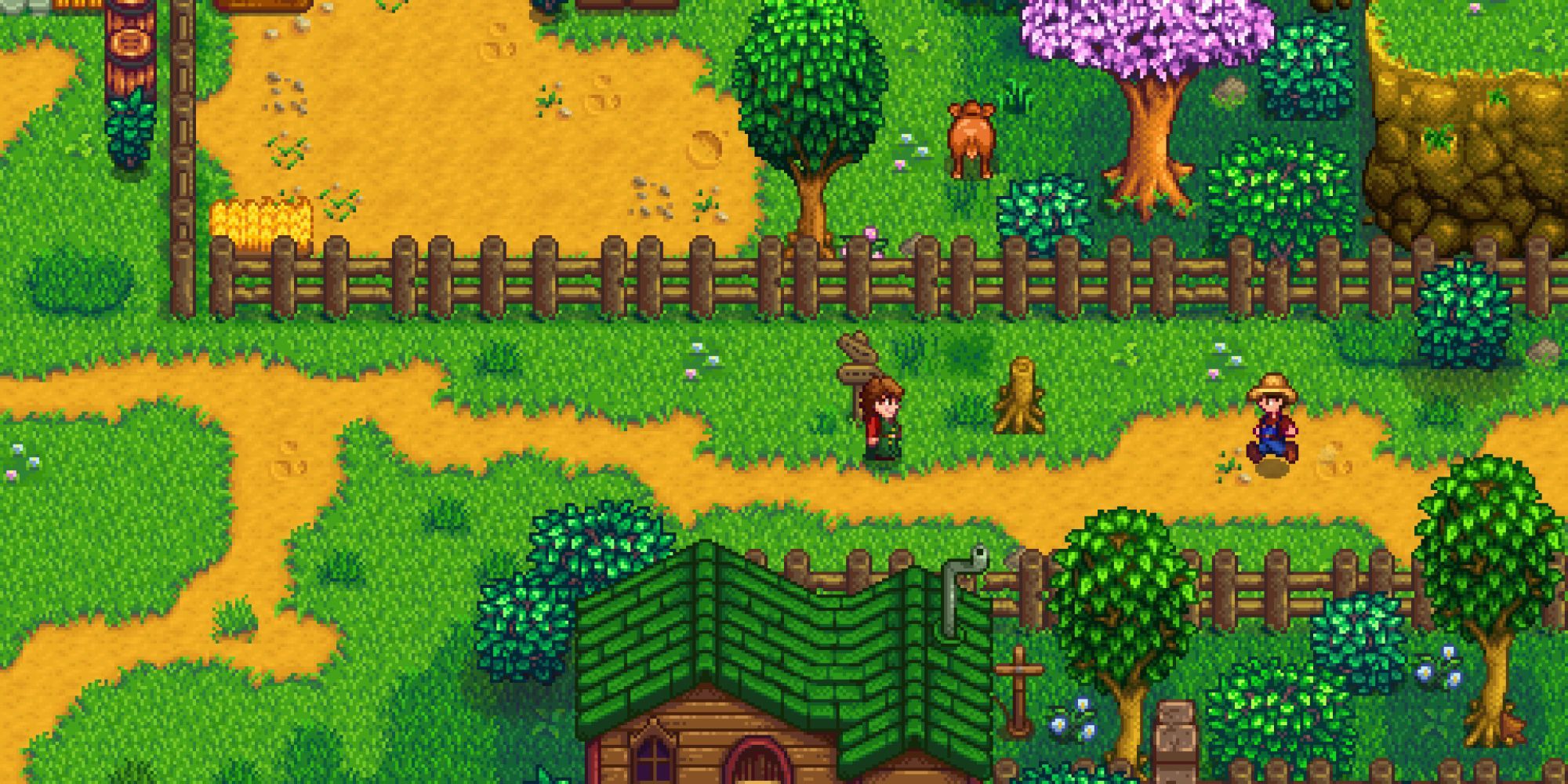 A player walking past the animal shop in Stardew Valley 