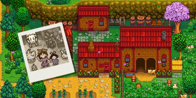 Stardew Valley Marnies Farm