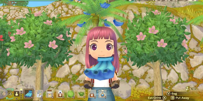Story of seasons a wondeful life bluenana