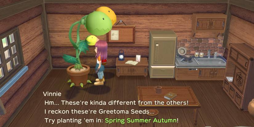 Story of seasons a wondeful life vinnie crop mixing 