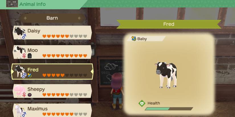 story of seasons a wonderful life baby cow health