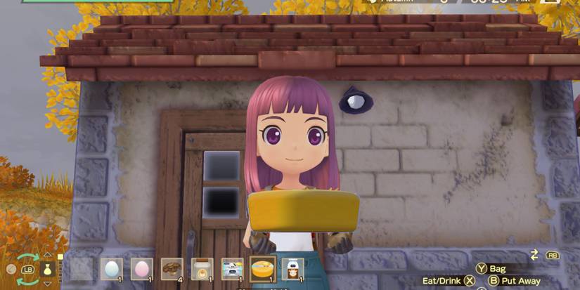 story of seasons a wonderful life cheese
