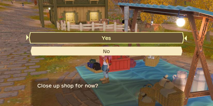 Story Of Seasons A Wonderful Life close shop