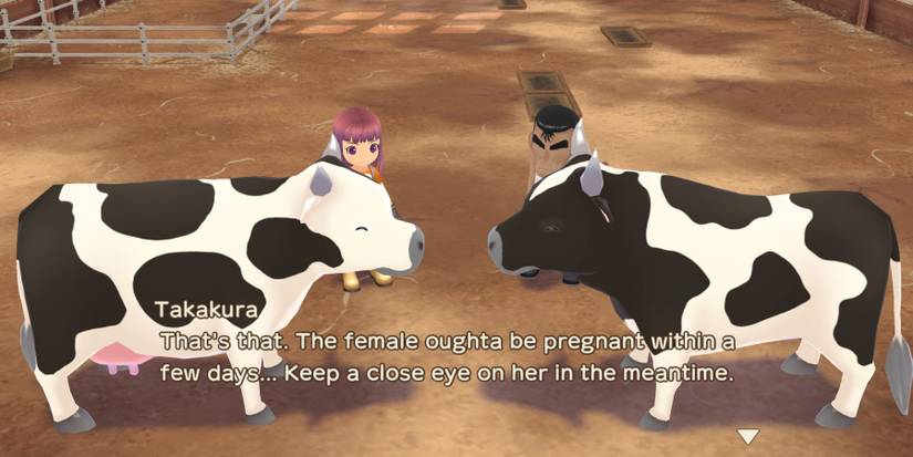 story of seasons a wonderful life cow breeding 