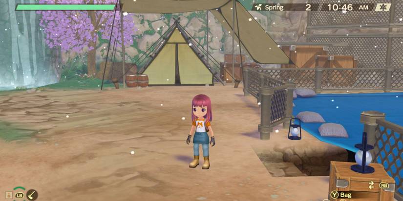 Story of seasons a wonderful life dig site