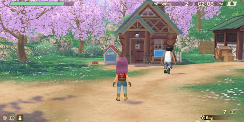 Story Of Seasons A Wonderful Life dog house Takakura