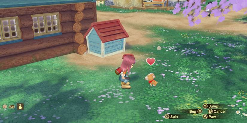 Story Of Seasons A Wonderful Life dog training
