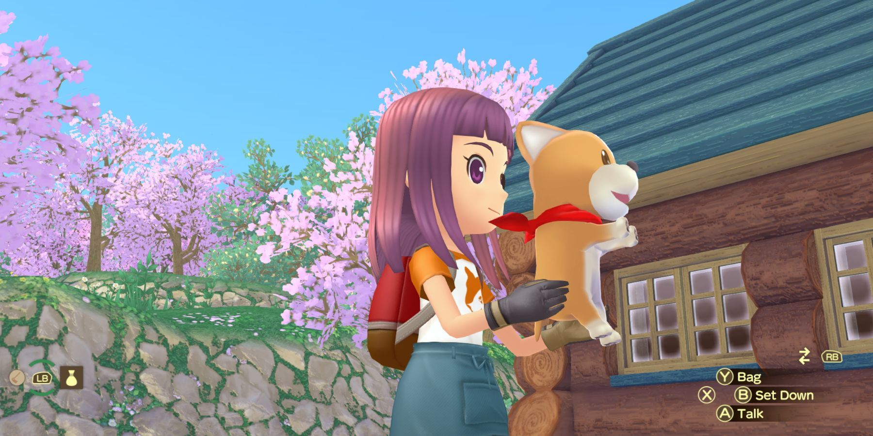 Story of Seasons A Wonderful Life Do You Need to Feed the Dog