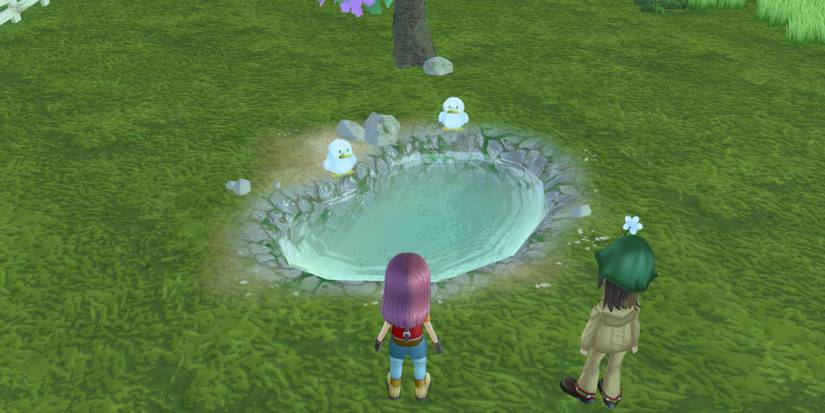 story of seasons a wonderful life ducks by duckpond