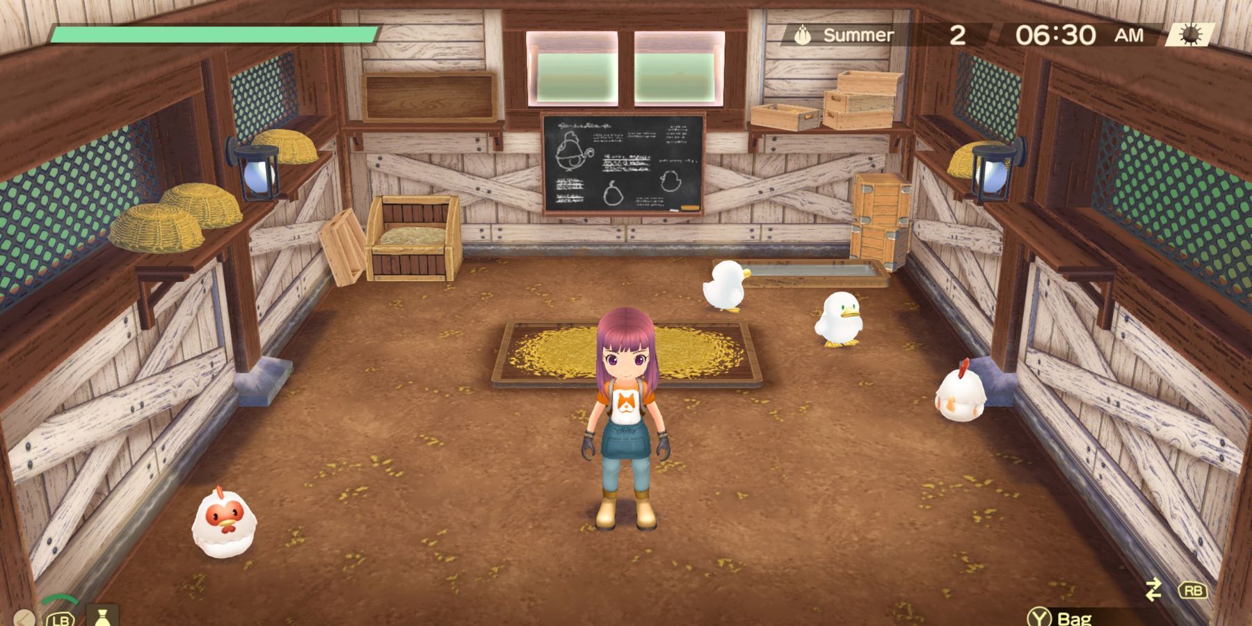 Story Of Seasons A Wonderful Life How to Get Ducks