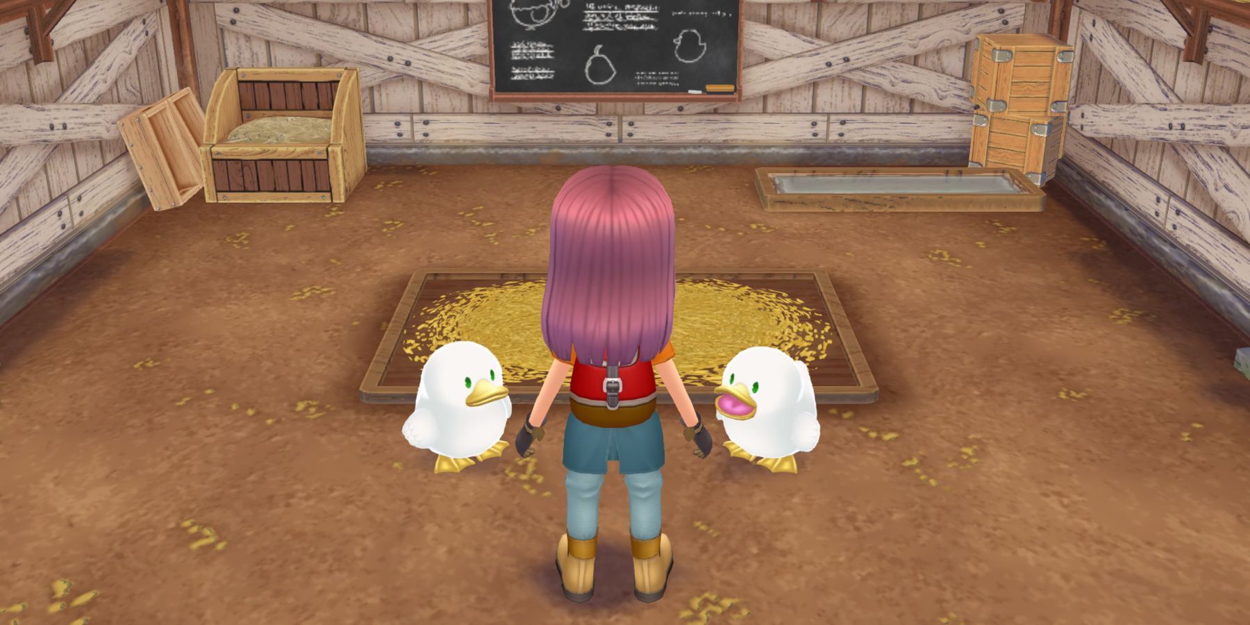 Story Of Seasons: A Wonderful Life - How to Get Ducks