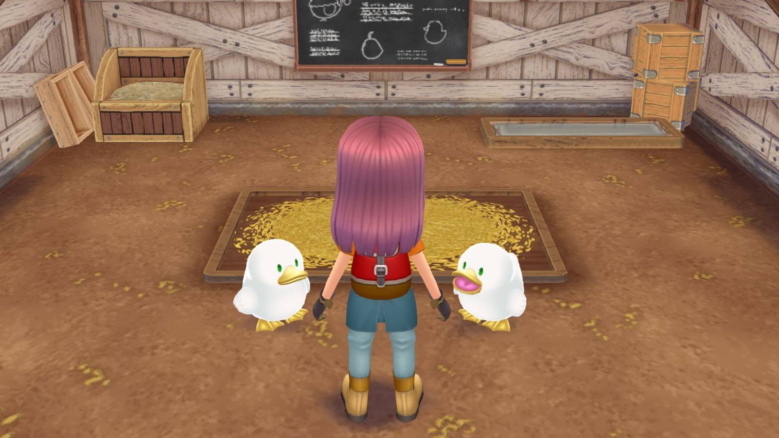 story of seasons a wonderful life ducks