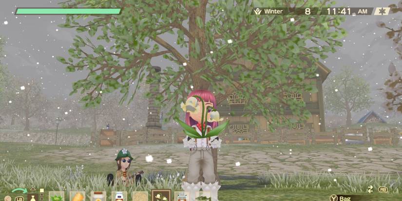 story of seasons a wonderful life gustafa flower gift