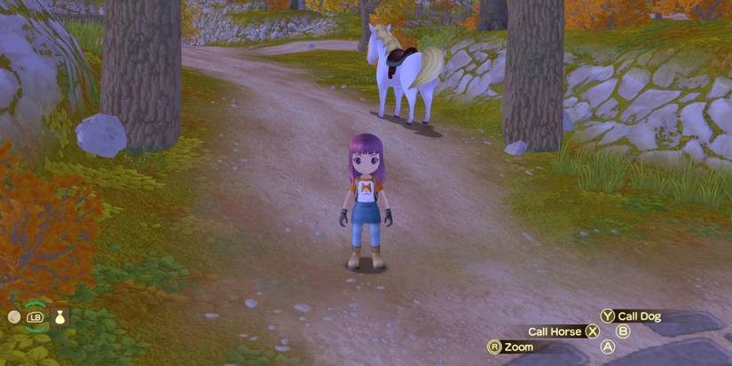 Story Of Seasons A Wonderful Life Horse call horse