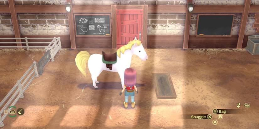 Story Of Seasons A Wonderful Life Horse care