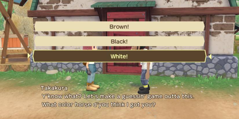 Story Of Seasons A Wonderful Life horse colors