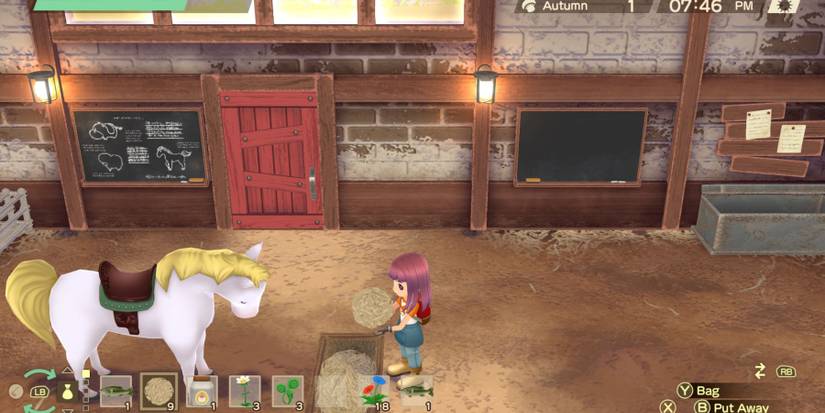 Story Of Seasons A Wonderful Life horse food