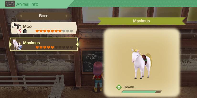 Story Of Seasons A Wonderful Life horse health