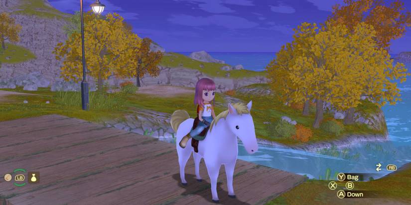 Story Of Seasons A Wonderful Life horse mount forgotten valley