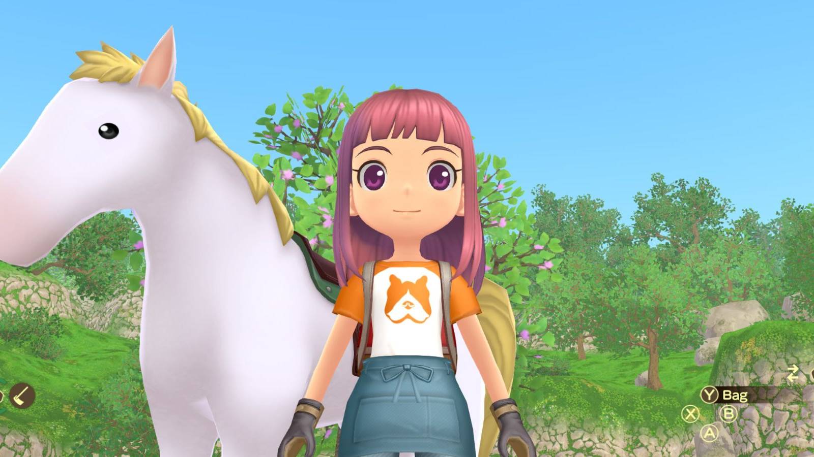 Story Of Seasons A Wonderful Life Horse