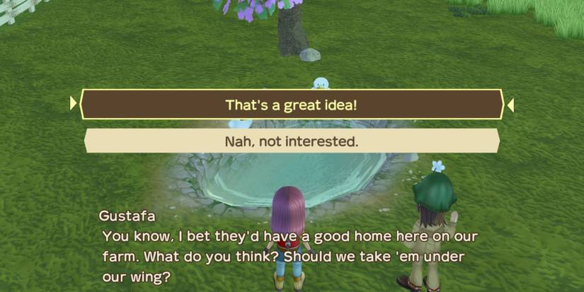Story of seasons a wonderful life ducks