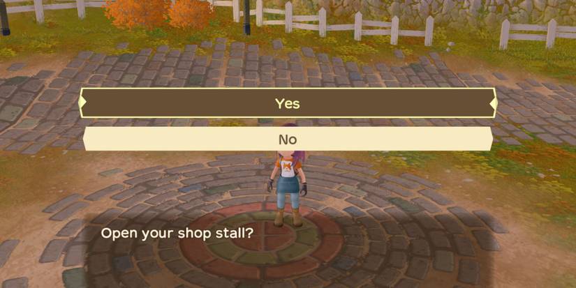 Story Of Seasons A Wonderful Life open shop
