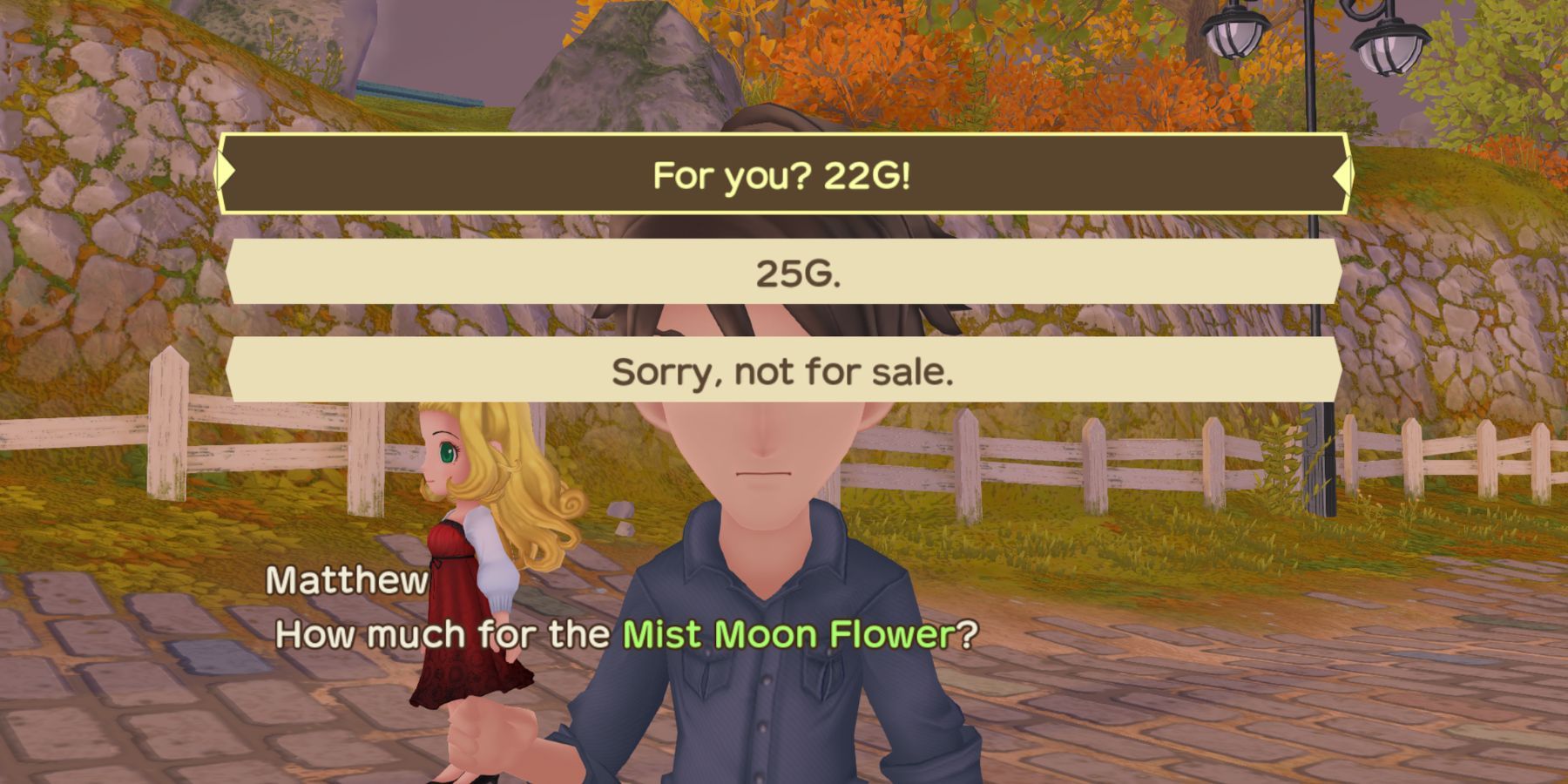 Master the Art of Shopkeeping in Story of Seasons: A Wonderful Life - Uncover Secrets to Flourish and Thrive!