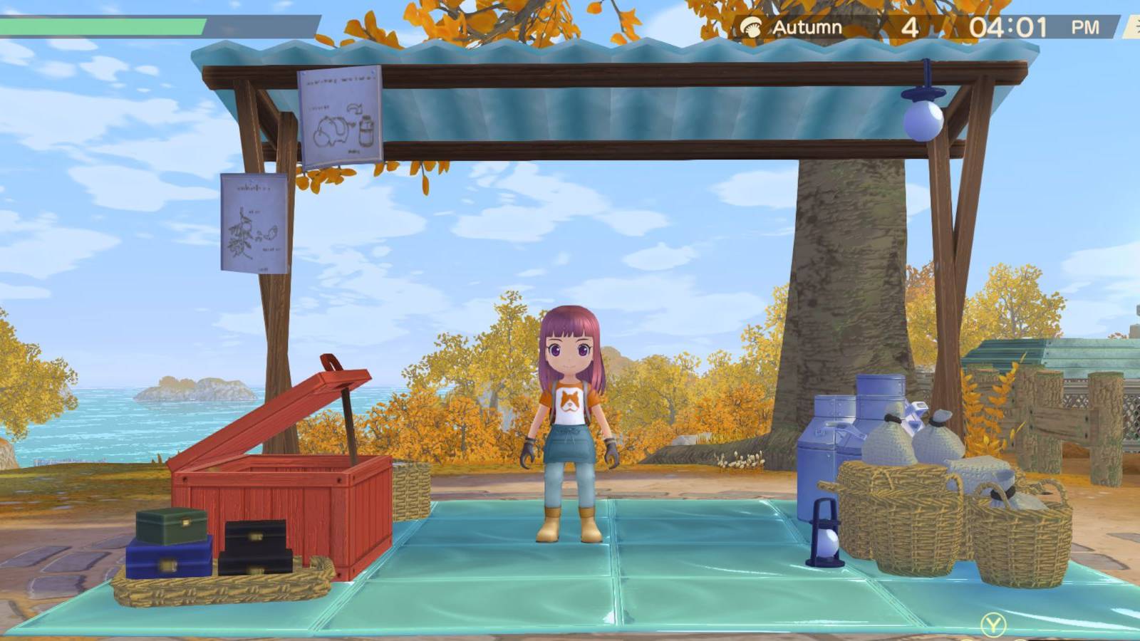 Story Of Seasons A Wonderful Life player shop stall