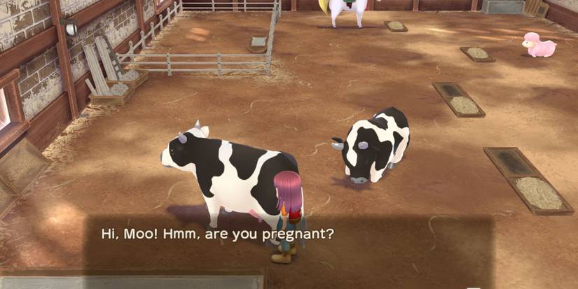 story of seasons a wonderful life pregnant cow 