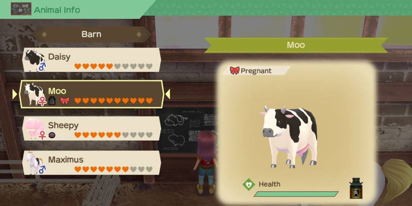 story of seasons a wonderful life pregnant cow animal stats