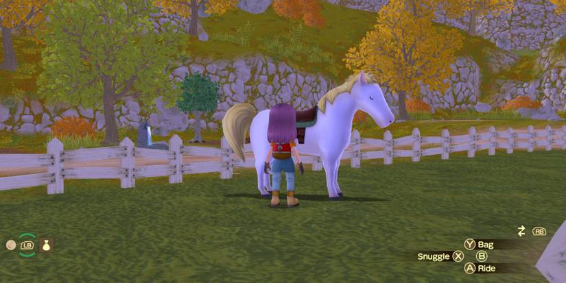 Story Of Seasons A Wonderful Life ride horse