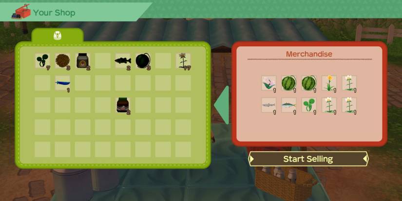 Story Of Seasons A Wonderful Life shop inventory menu