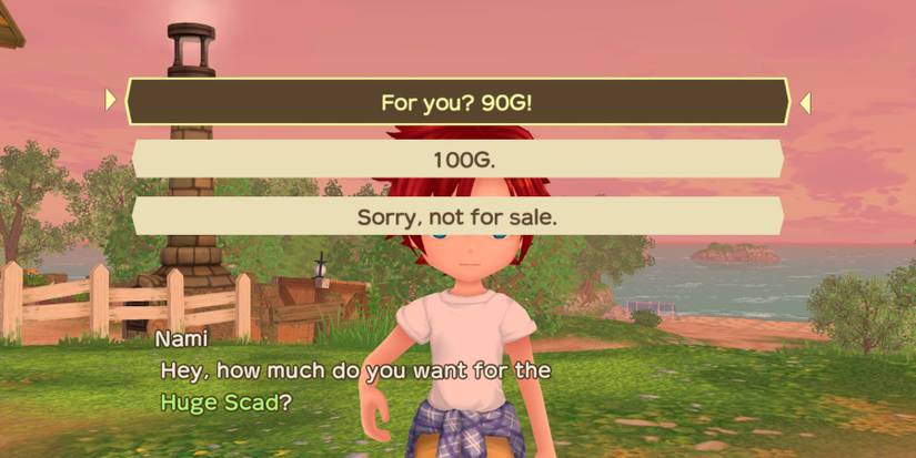 Story Of Seasons A Wonderful Life shop sell fish nami