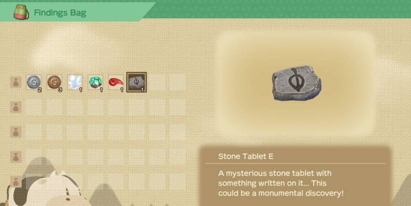 Story of seasons a wonderful life stone tablet findings bag